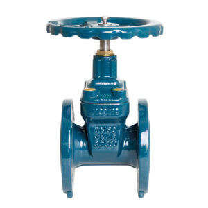 GATE VALVE