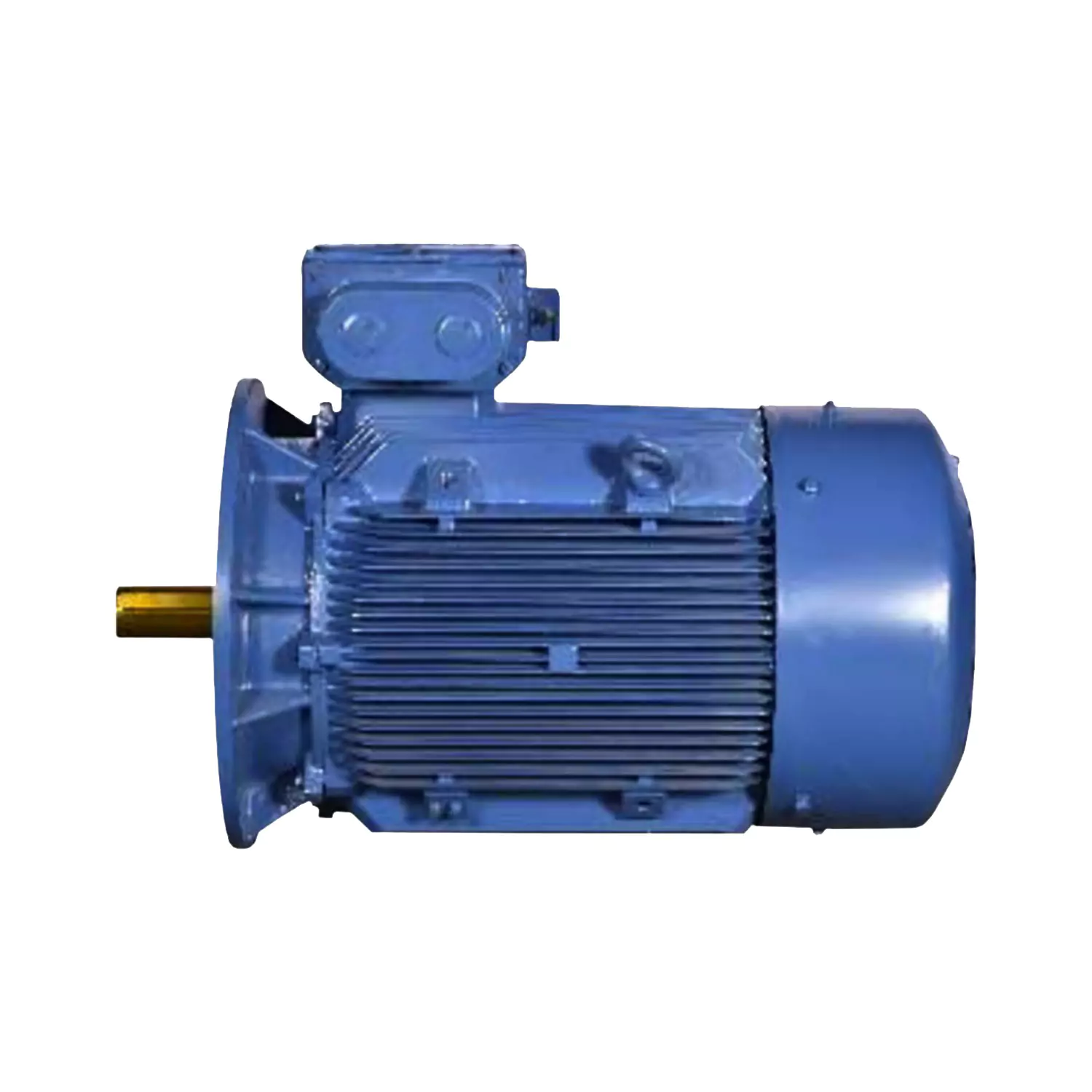 Flange Motors